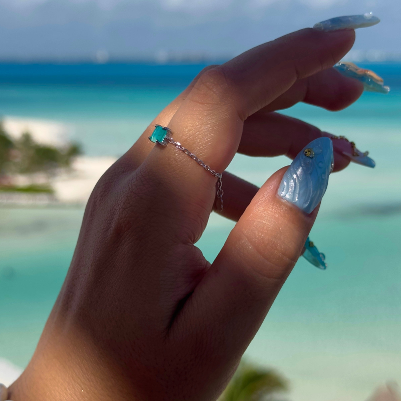 Adjustable Chain Ring